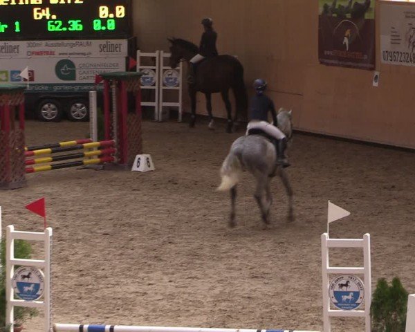 Reitturnier Fehraltorf 2024