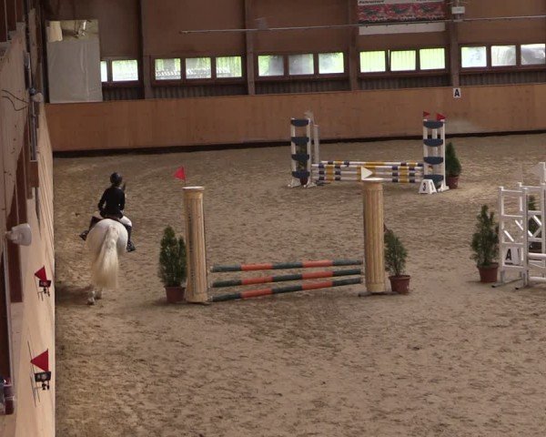 Reitturnier Fehraltorf 2024