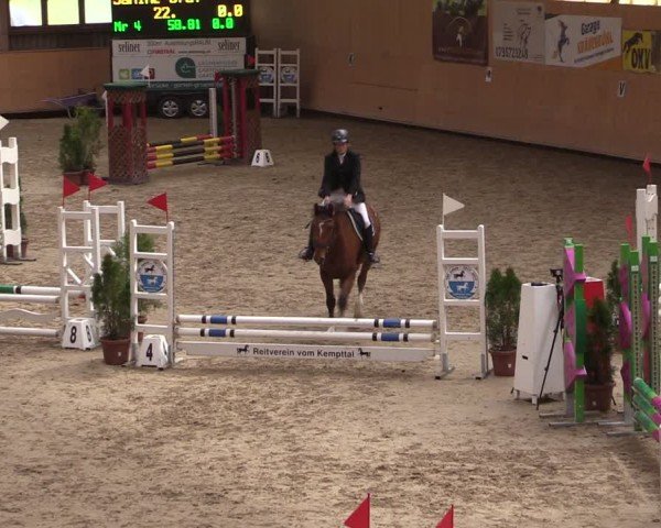 Reitturnier Fehraltorf 2024
