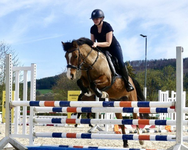 broodmare Dabidu pur Emotion (German Riding Pony, 2015, from Dankeschön)