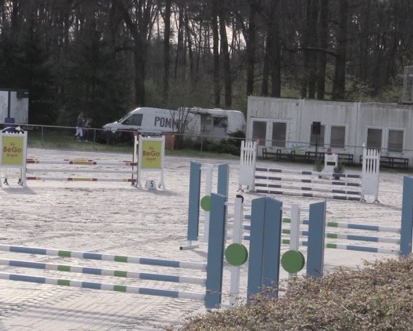 Reitturnier Pietzpuhl 2024