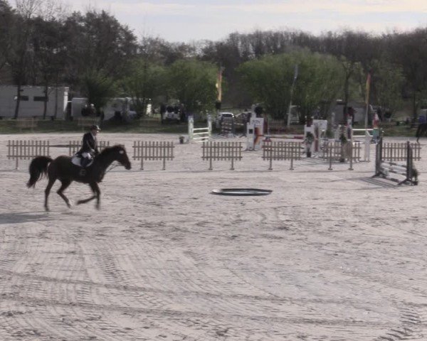 Reitturnier Pietzpuhl 2024