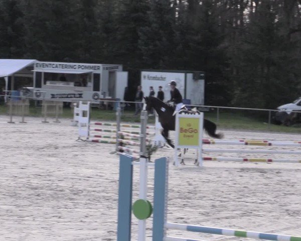 Reitturnier Pietzpuhl 2024
