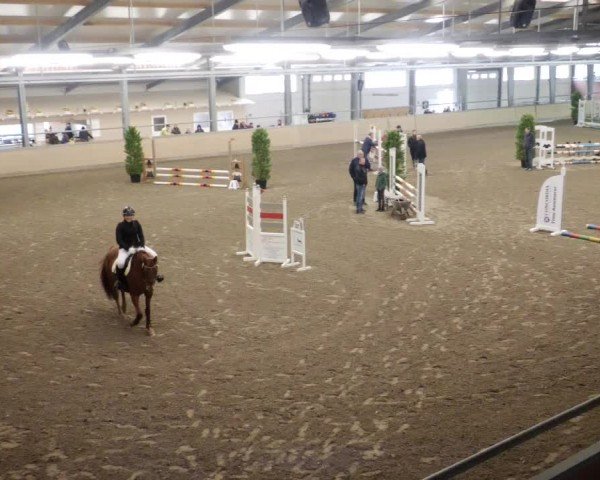 Reitturnier Waghäusel-Wiesental 2024