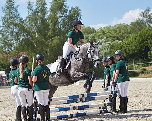 Zuchtstute Rinneen Silver Lady (Connemara-Pony, 2018, von Marcus)
