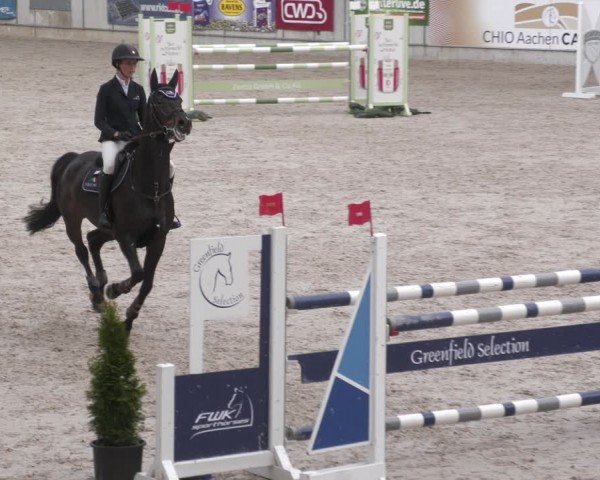 Reitturnier Aachen 2024