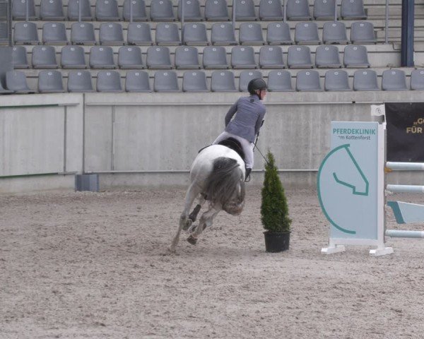 Reitturnier Aachen 2024