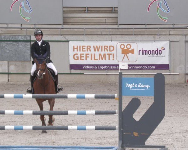Reitturnier Aachen 2024
