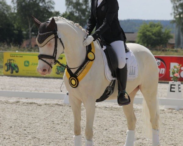 broodmare Glücksfee 87 (German Riding Pony, 2018, from Golden West NRW)