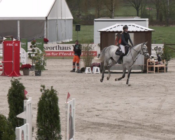 Reitturnier Westergellersen 2024