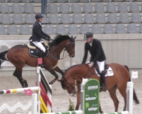 Reitturnier Aachen 2024