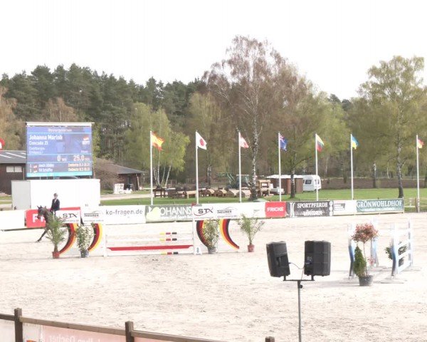 Reitturnier Westergellersen 2024