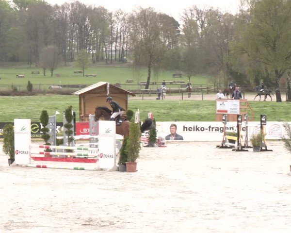 Reitturnier Westergellersen 2024