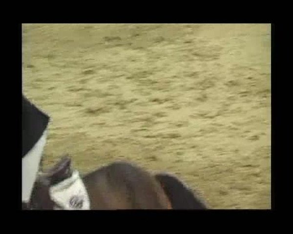 Warsteiner Champions Trophy 2011