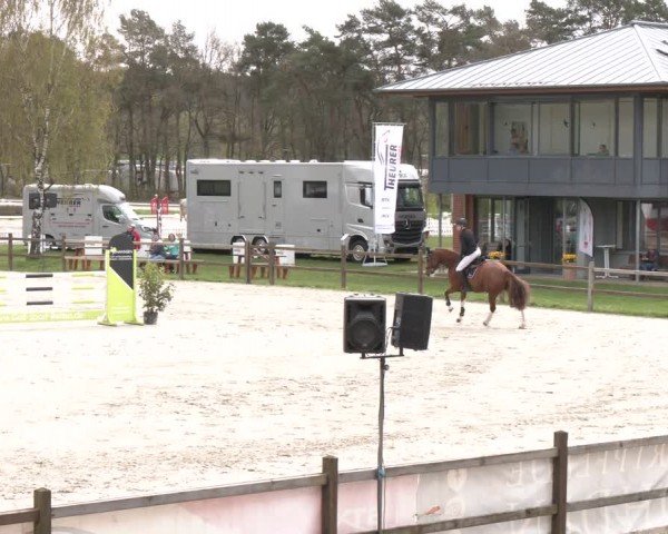 Reitturnier Westergellersen 2024