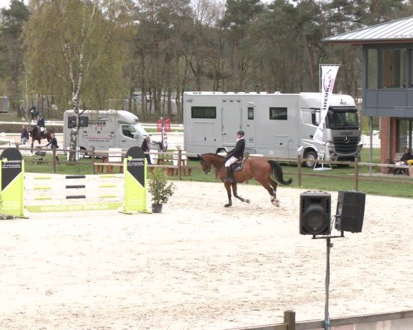 Reitturnier Westergellersen 2024