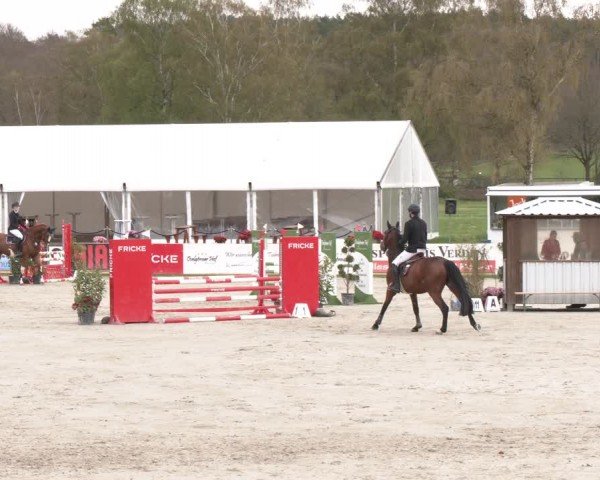 Reitturnier Westergellersen 2024