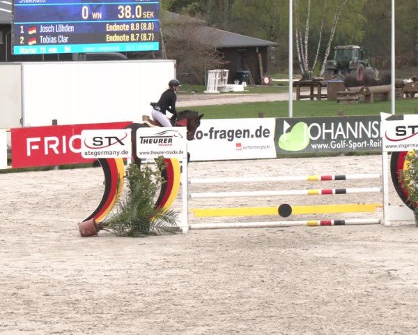 Reitturnier Westergellersen 2024