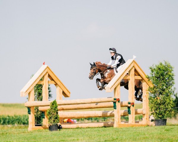 jumper Golden Grove Simon (Pony without race description, 2006, from Ballysimon)