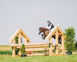 jumper Golden Grove Simon (Pony without race description, 2006, from Ballysimon)