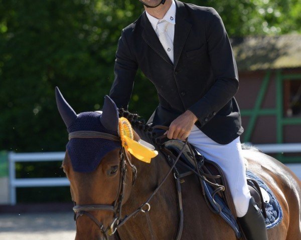 Andrea Di Silvestro