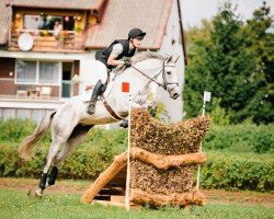 broodmare Vallera del Ferro (Italian Warmblood, 2008, from Jaguar Mail)
