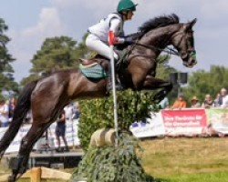 jumper Polly Blue Eyes (German Warmblood, 2008, from Concinales xx)