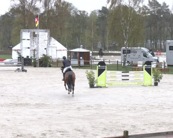 Reitturnier Westergellersen 2024