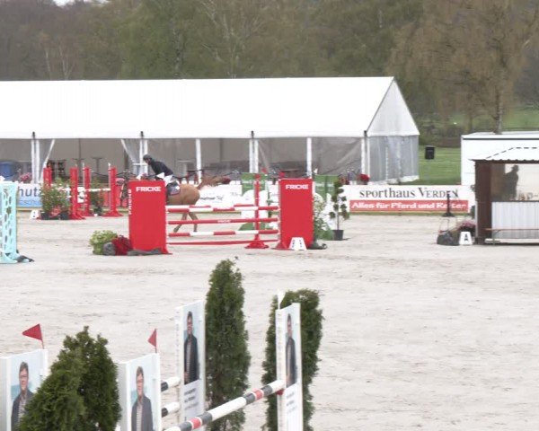 Reitturnier Westergellersen 2024