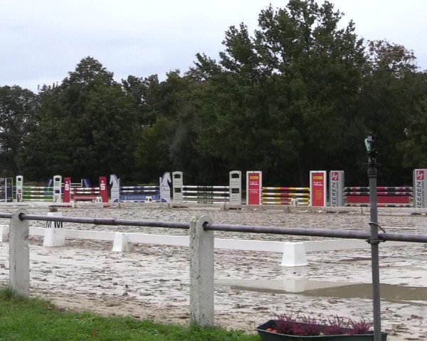 Reitturnier Lüdinghausen 2021
