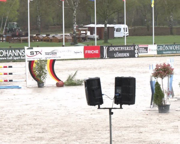 Reitturnier Westergellersen 2024