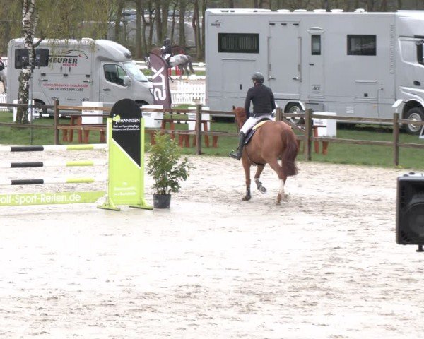 Reitturnier Westergellersen 2024
