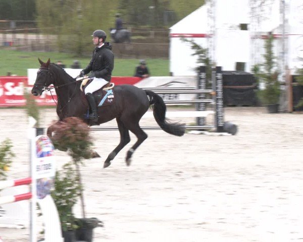Reitturnier Westergellersen 2024