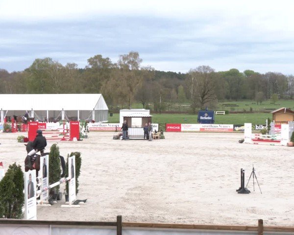 Reitturnier Westergellersen 2024