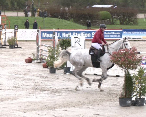 Reitturnier Westergellersen 2024