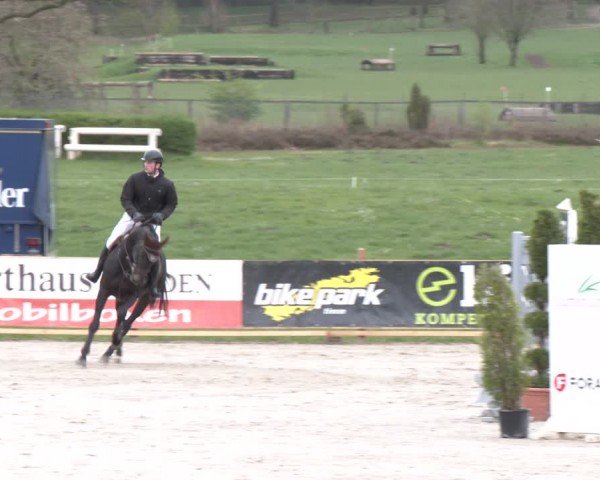 Reitturnier Westergellersen 2024
