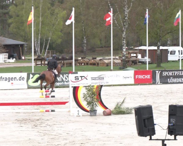 Reitturnier Westergellersen 2024