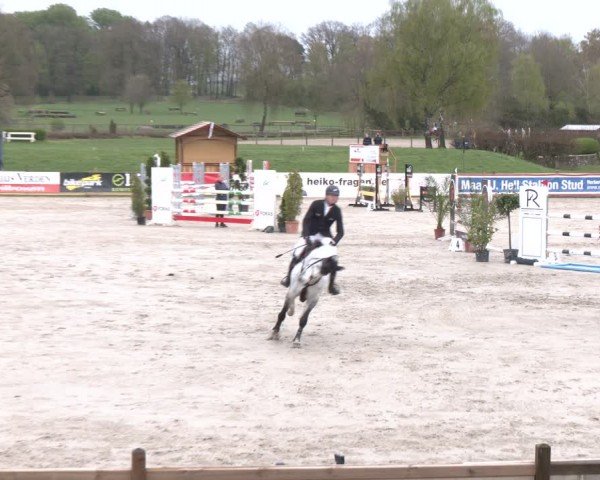 Reitturnier Westergellersen 2024