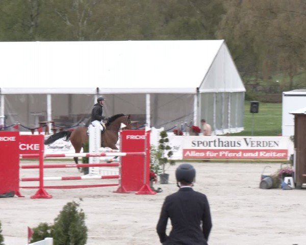 Reitturnier Westergellersen 2024