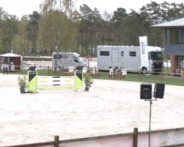 Reitturnier Westergellersen 2024