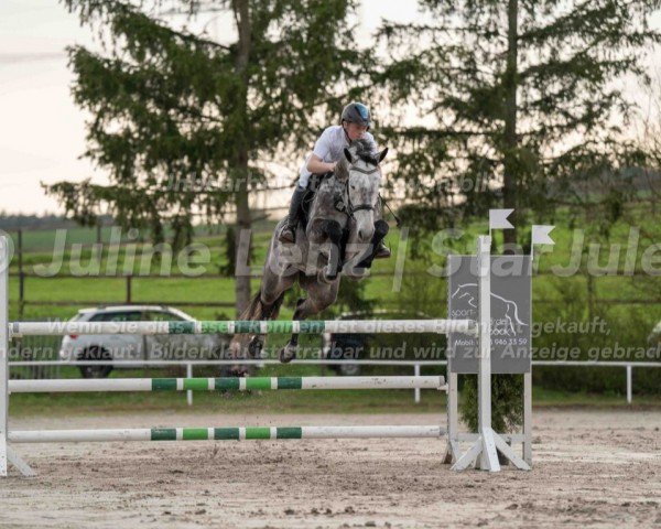 jumper Chaccomo 20 (Oldenburg show jumper, 2018, from Chacoon Blue)