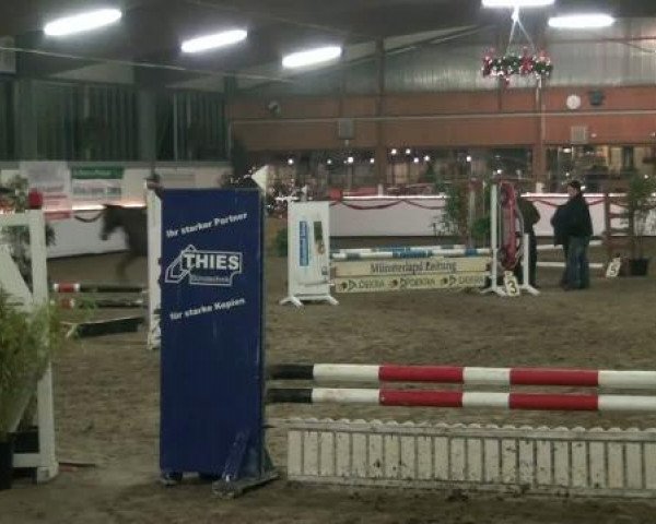 Hallenturnier beim RFV Südlohn-Oeding e.V. 2011