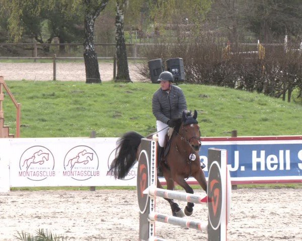 Reitturnier Westergellersen 2024