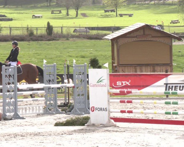 Reitturnier Westergellersen 2024