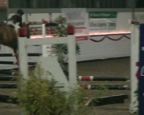 Hallenturnier beim RFV Südlohn-Oeding e.V. 2011