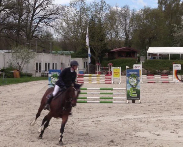 Reitturnier Pietzpuhl 2024