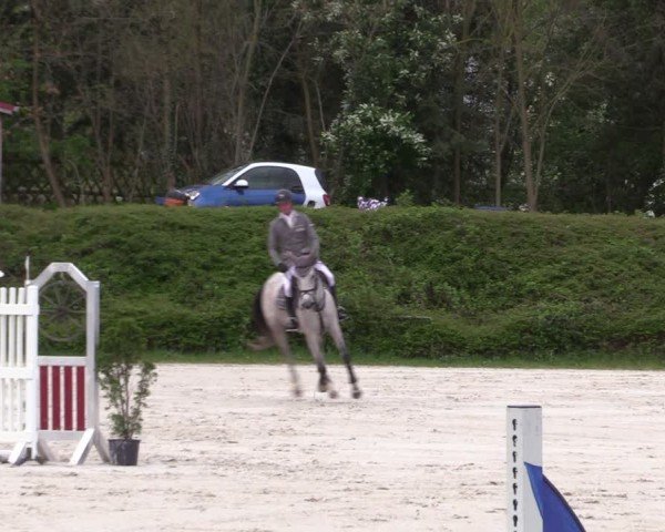 Reitturnier Pietzpuhl 2024