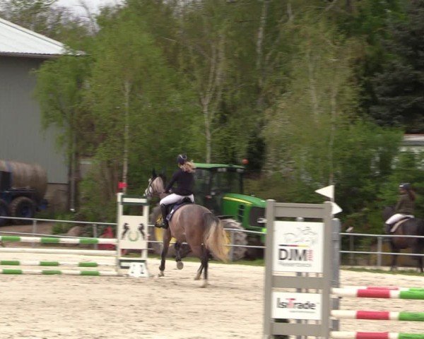 Reitturnier Pietzpuhl 2024