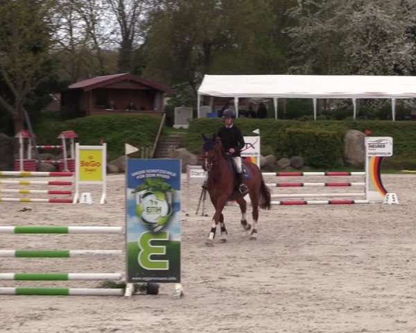 Reitturnier Pietzpuhl 2024