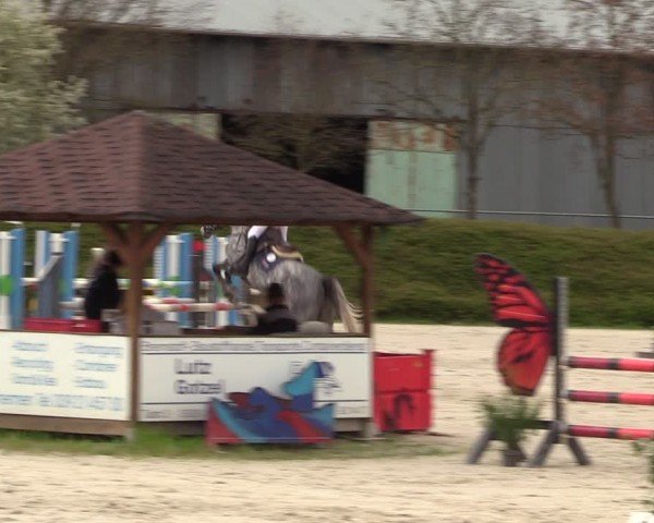 Reitturnier Pietzpuhl 2024